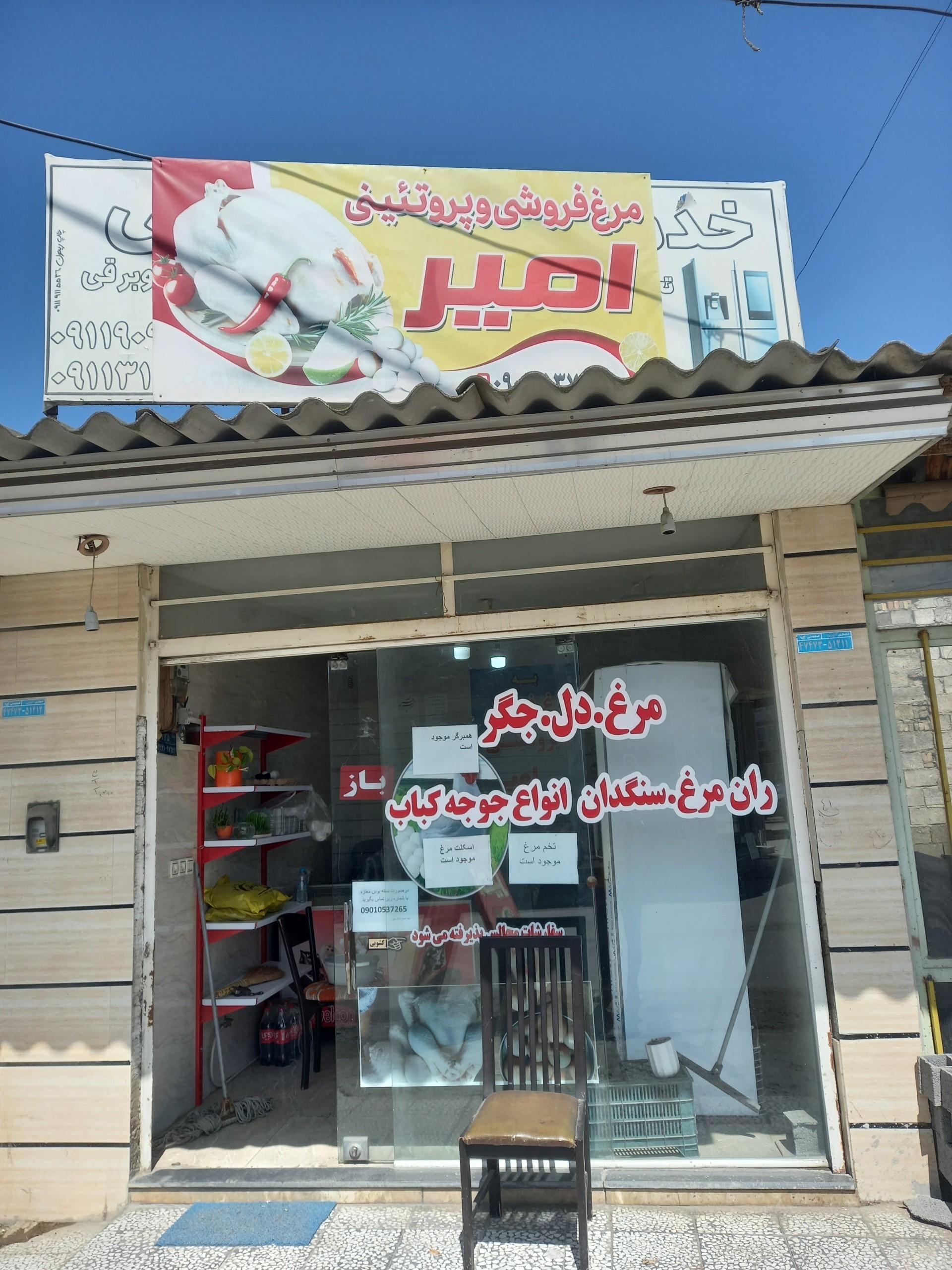 عکس مرغ و پروتئین امیر
