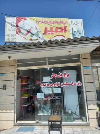 عکس مرغ و پروتئین امیر