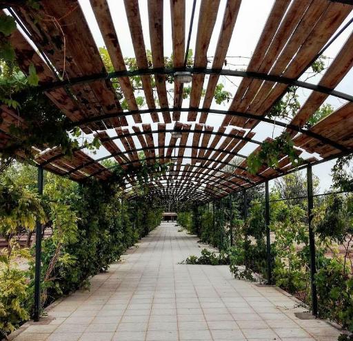 عکس دانشگاه یزد