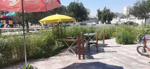 عکس کاف بوف