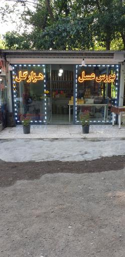 عکس چشمه آب گازدار
