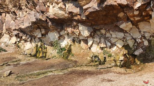 عکس چشمه آب گازدار