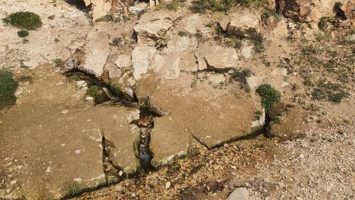 عکس چشمه آب گازدار