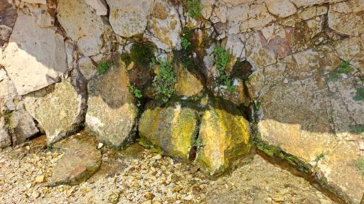 عکس چشمه آب گازدار