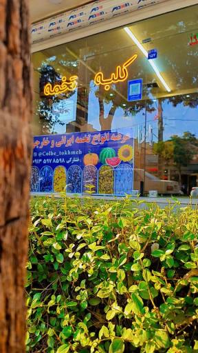 عکس کلبه تخمه 