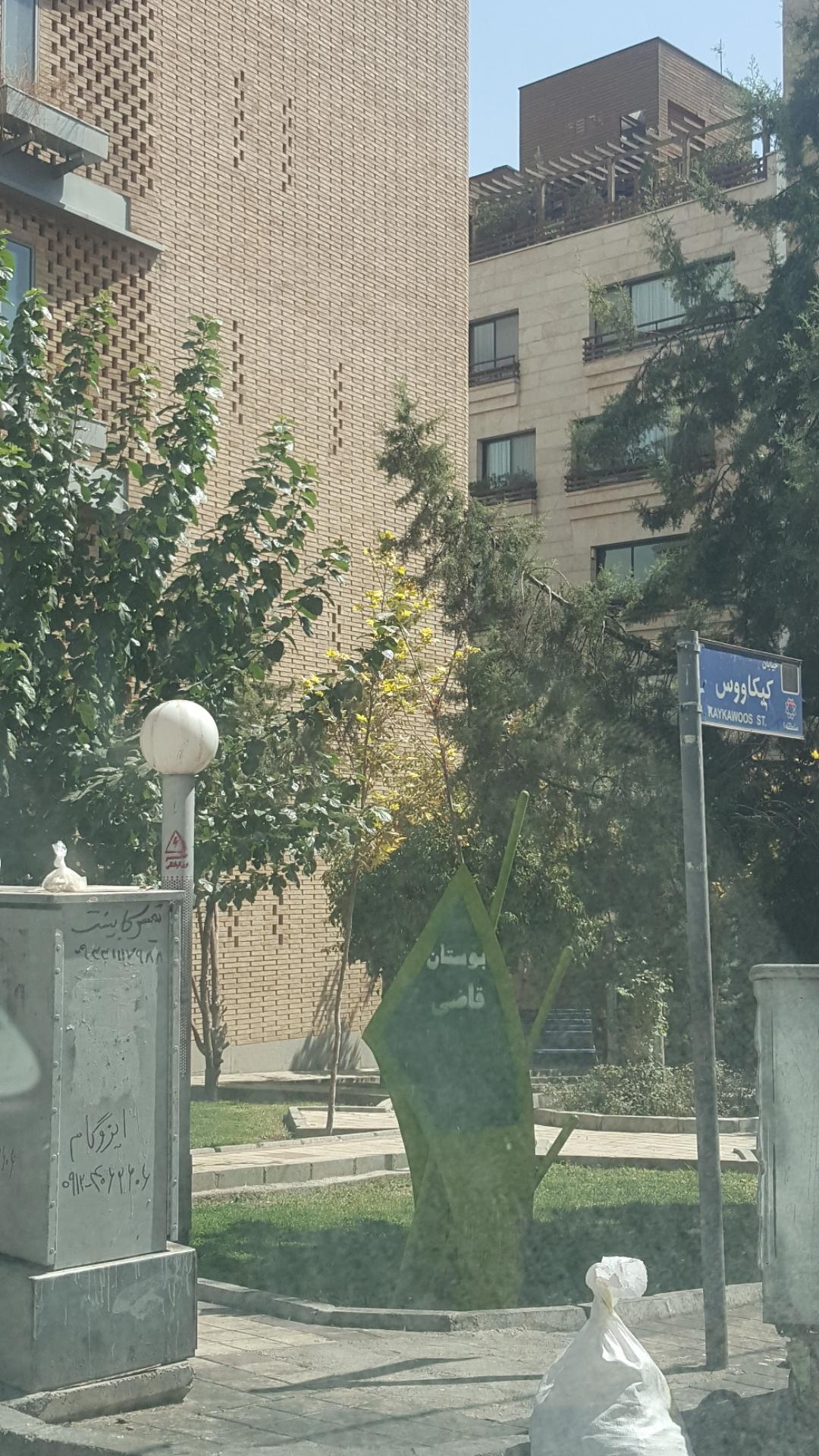 عکس بوستان قاضی