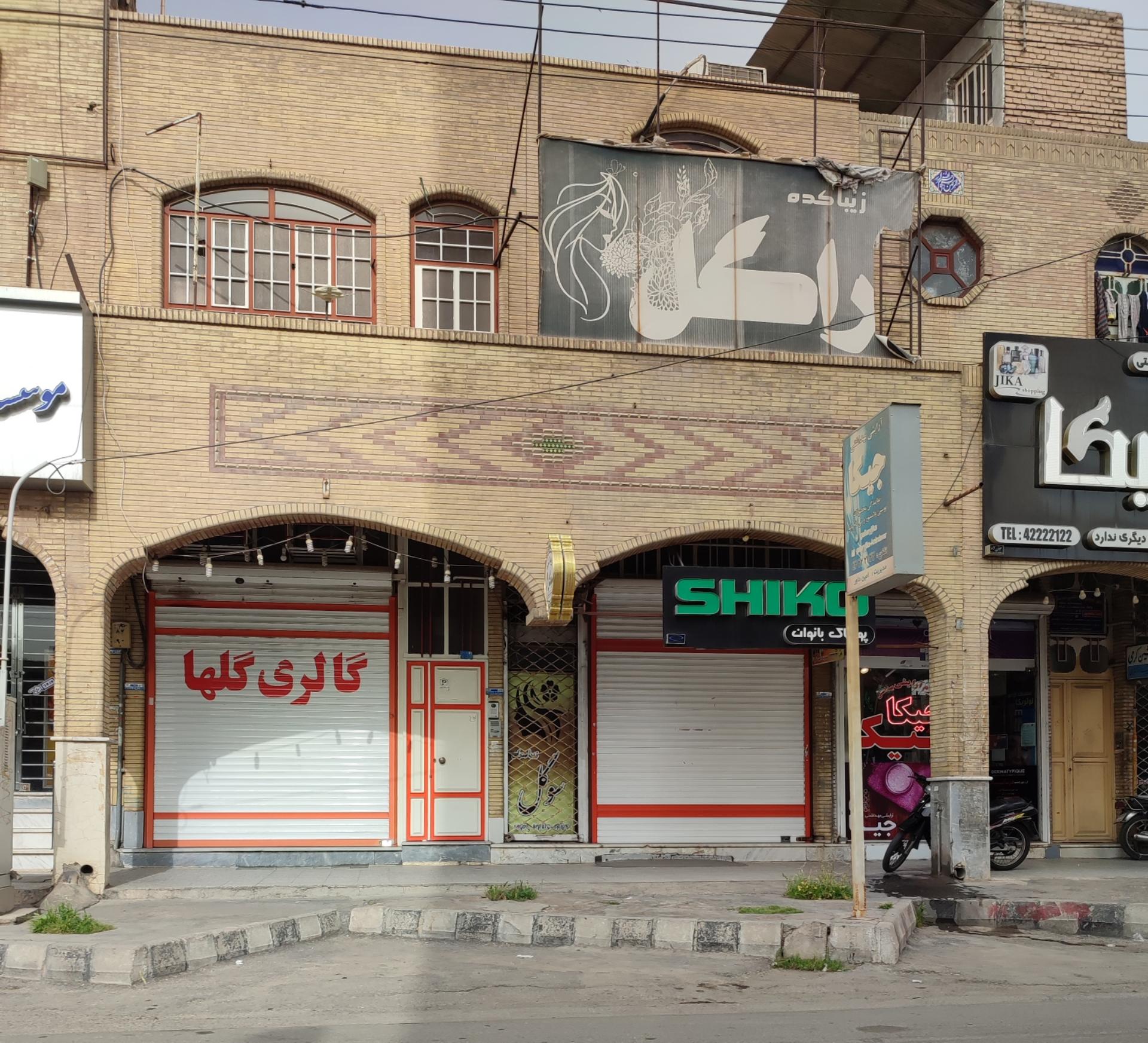 عکس گالری گلها شوشی نسب