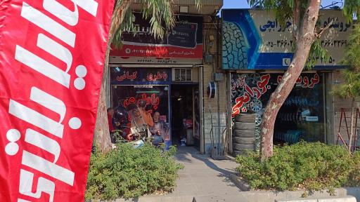 عکس باطری کیانی