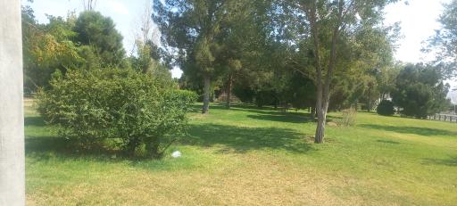 پارک برکه شهرک ۲۲ بهمن