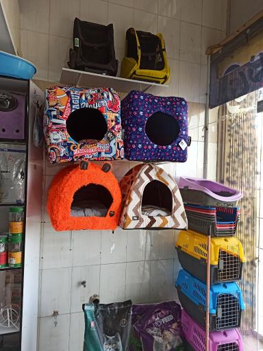 عکس پت شاپ متیو