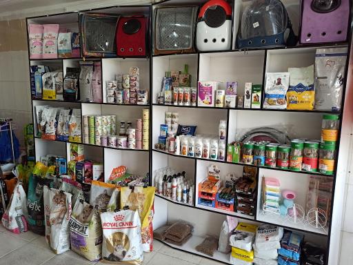 عکس پت شاپ متیو