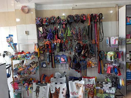 عکس پت شاپ متیو