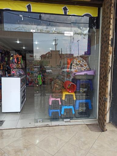 عکس پت شاپ متیو