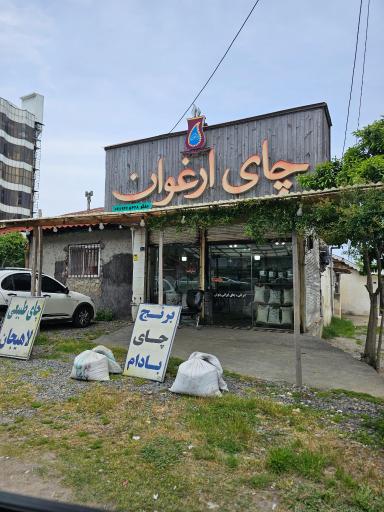 عکس چای و برنج ارغوان