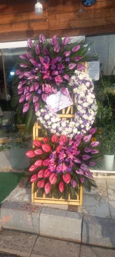 عکس گل اسپرینگ