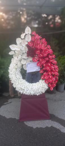 عکس گل اسپرینگ