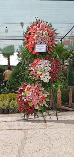 عکس گل اسپرینگ