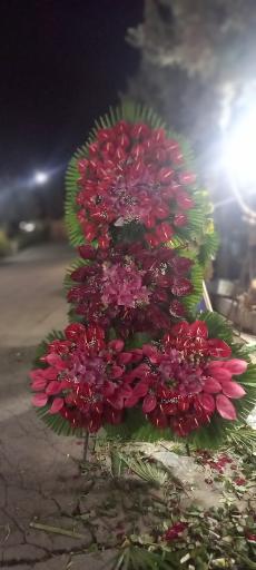 عکس گل اسپرینگ