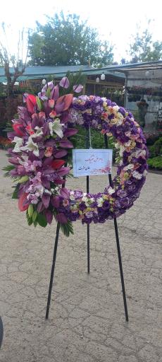 عکس گل اسپرینگ