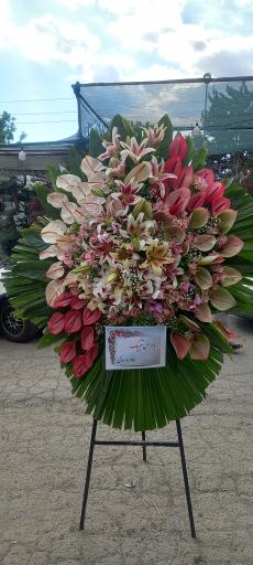 عکس گل اسپرینگ