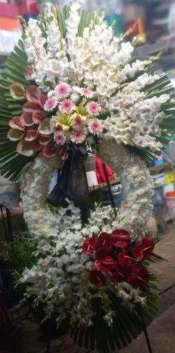 عکس گل اسپرینگ