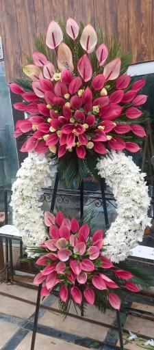 عکس گل اسپرینگ