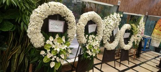 عکس گل اسپرینگ