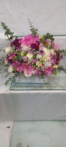 عکس گل اسپرینگ