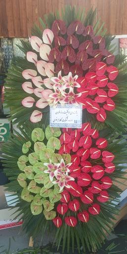 عکس گل اسپرینگ