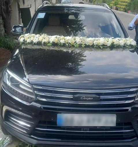 عکس گل اسپرینگ