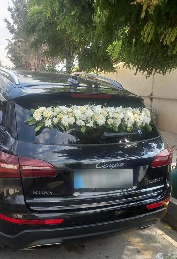 عکس گل اسپرینگ