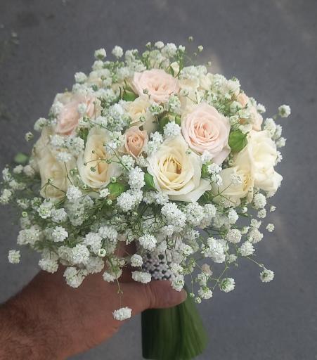 عکس گل اسپرینگ