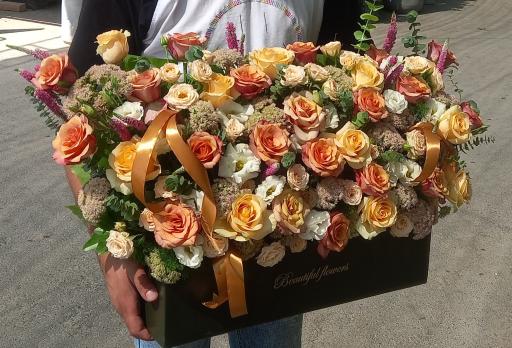 عکس گل اسپرینگ