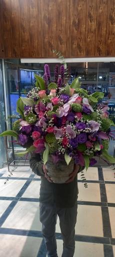 عکس گل اسپرینگ