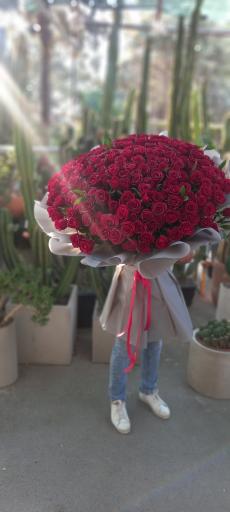 عکس گل اسپرینگ