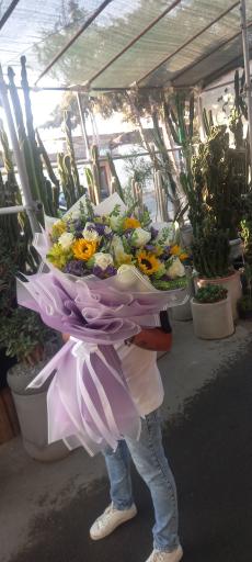 عکس گل اسپرینگ