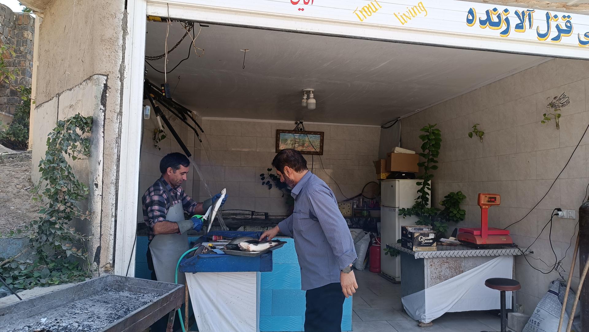 عکس ماهی کبابی آقایی