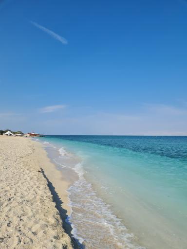 عکس اسکله تفریحی دامون ساحلی