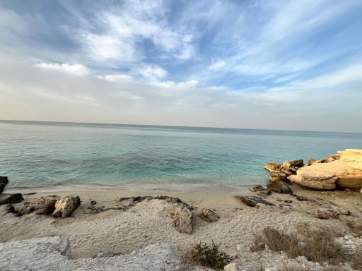 عکس اسکله تفریحی دامون ساحلی