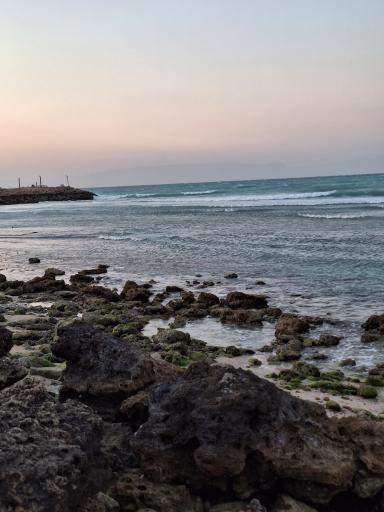 عکس اسکله تفریحی دامون ساحلی