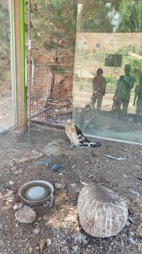 باغ پرندگان