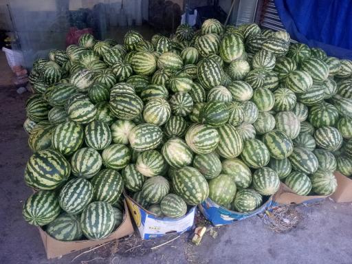 عکس سوپر میوه و تره بار برکت