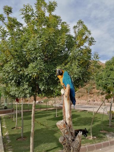 عکس باغ پرندگان