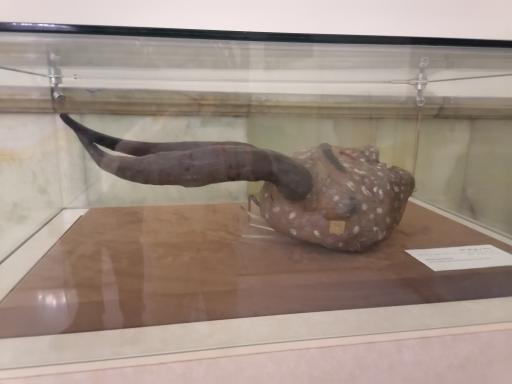 عکس کاخ شیخ خزعل کعبی