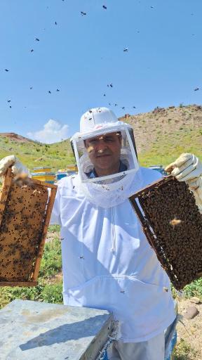 عکس عسل طبیعی مهندس افراسیاب زاده