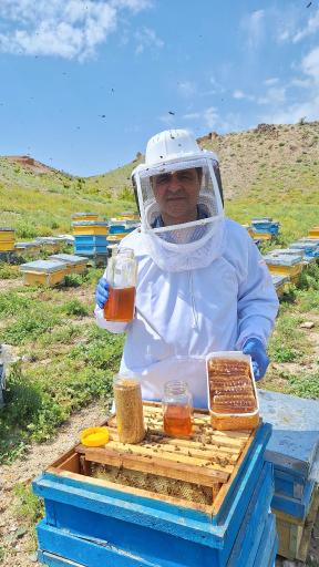 عکس عسل طبیعی مهندس افراسیاب زاده