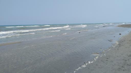 عکس ساحل بلوار منصوری