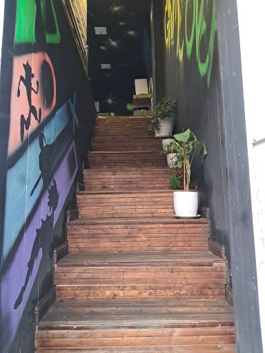 عکس گیم نت برمودا 