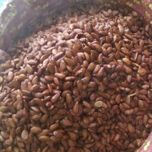 عکس اجیل پزی کره بادم زمینی کیان