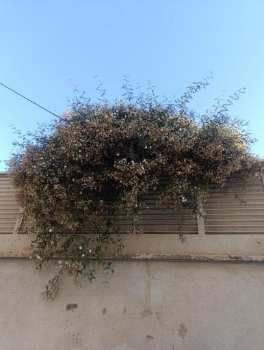 عکس کوچه قهر و آشتی 